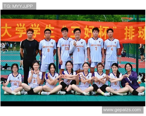 排球盛宴：深入上海排球队的训练与比赛节奏揭秘