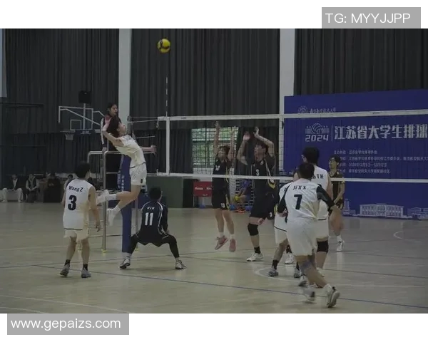 全国锦标赛回顾：广州排球队展现出强大的实力与团队精神