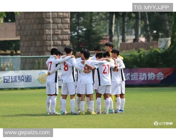 上海足球队节奏引发热议球迷与专家各执己见的背后故事