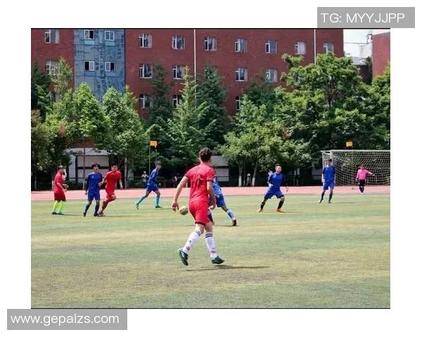 南京乒乓球队边路渗透战术解析与深度剖析