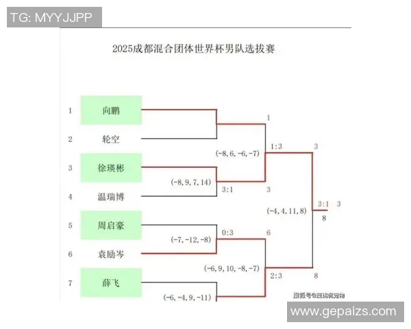 成都乒乓球队在全国速度排行榜中荣登第八名展现强劲实力与潜力