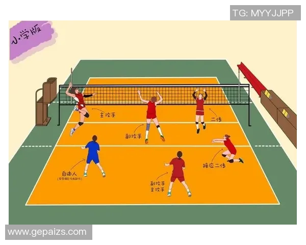 武汉排球队的排球战术与运营体系深度解析与实践探索