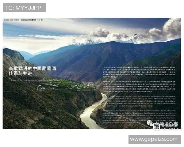 重磅专题：探索成都网球队运营革新背后的成功秘诀与发展战略