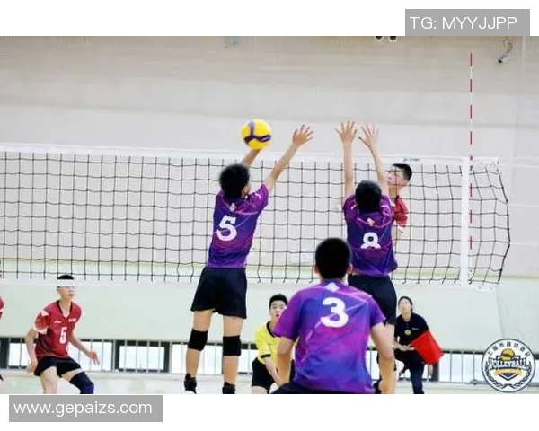 上海排球队在全国排球配合排行榜中荣获第八名的佳绩分析