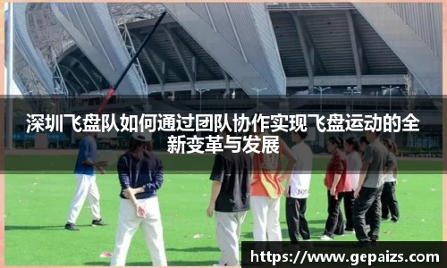 深圳飞盘队如何通过团队协作实现飞盘运动的全新变革与发展