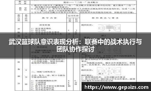 武汉篮球队意识表现分析：联赛中的战术执行与团队协作探讨