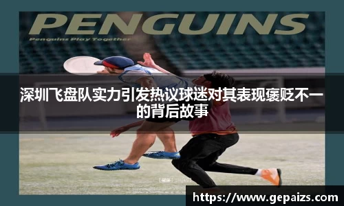 深圳飞盘队实力引发热议球迷对其表现褒贬不一的背后故事